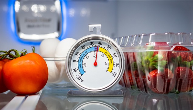 درجة حرارة الأطعمة تؤثر على الصحة العقلية حسب الفصول