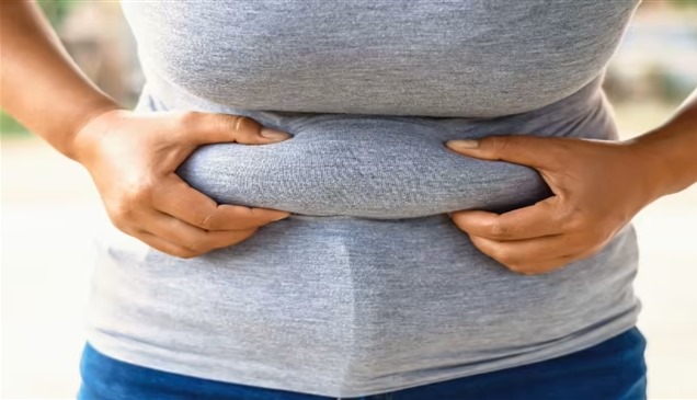 اكتشاف.. الدهون في مواضع معينة من الجسم تسرّع شيخوخة الدماغ