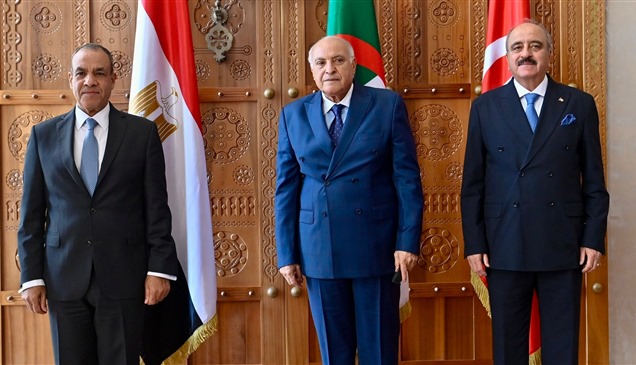 3 دول عربية تدعو الأطراف الليبية للانخراط في التسوية السياسية