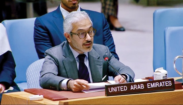 الإمارات تدين الهجوم الشنيع على بعثة "يونيسفا" في كادوقلي