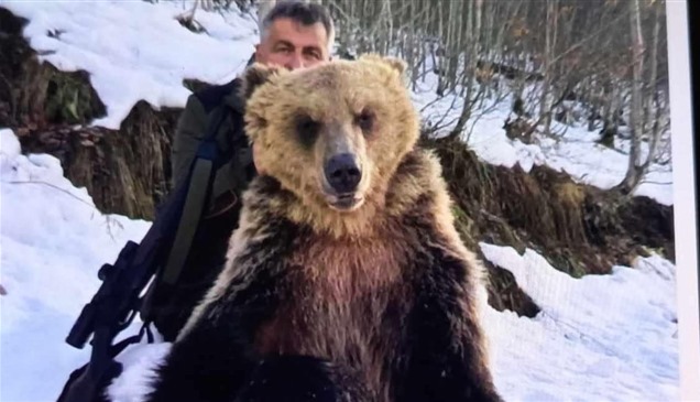 صورة مع دب تتتسبب في فصل مسؤول في مقدونيا
