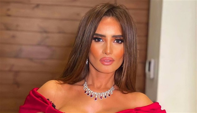 هجوم كلب شرس على نجل أحمد عز وزينة ونقله إلى المستشفى