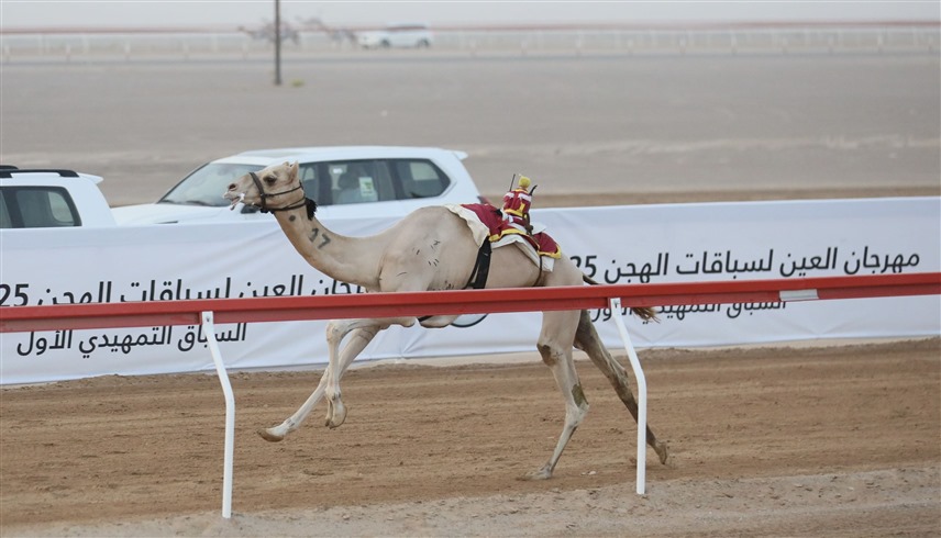 من السباقات (وام)