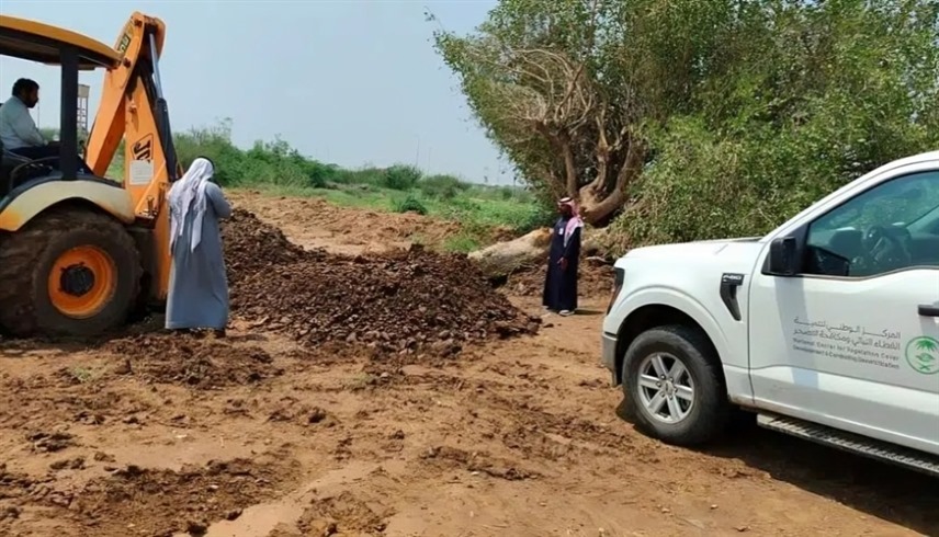 إنقاذ شجرة الضبر