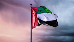 خبراء: الإمارات تقدم نموذجاً في مواجهة الذباب الإلكتروني وإعلام الغوغاء