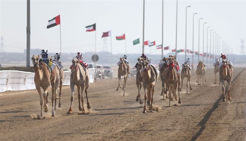 من المنافسات (وام)