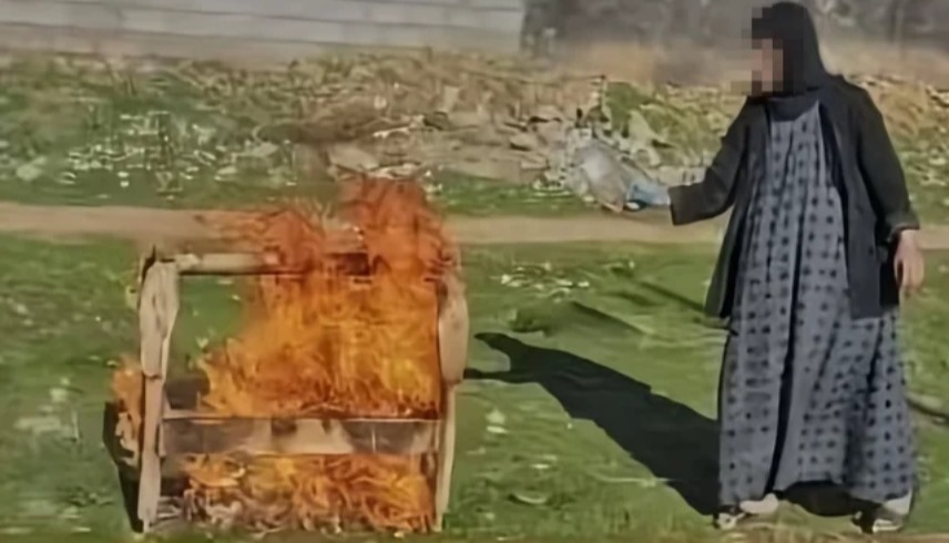 الصورة المتداولة