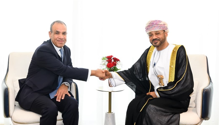 خلال اللقاء (الخارجية المصرية)