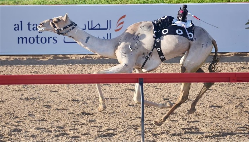 من المنافسات (وام)