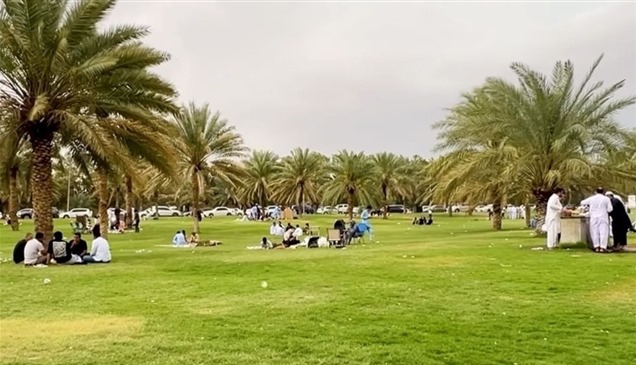 العين تتألق في عيد الفطر.. وجهات طبيعية ومهرجانات تستقطب الزوار
