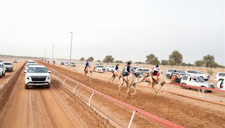 من المنافسات (وام)