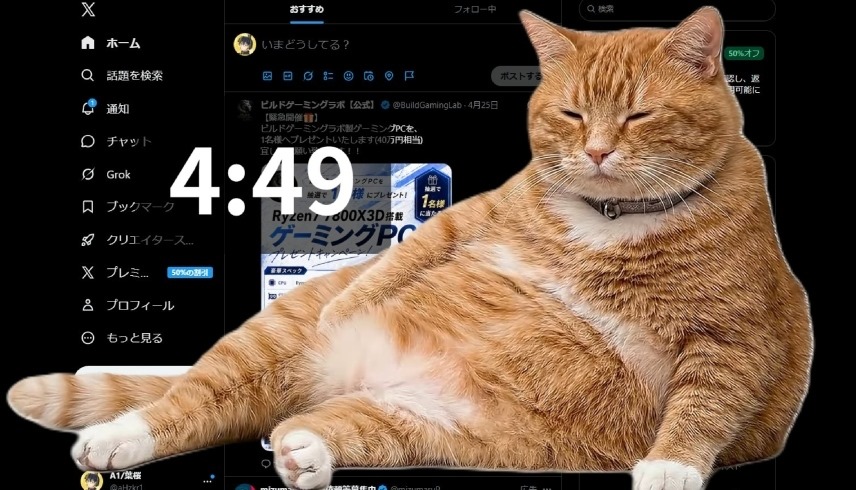 الإضافة تندرج تحت اسم "Cat Gatekeeper"