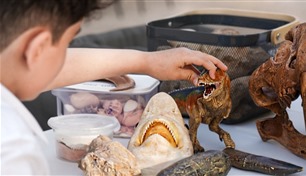 بمزيج من العلم والمغامرة.. "مليحة" تطلق برنامجاً تعليمياً مبتكراً للأطفال