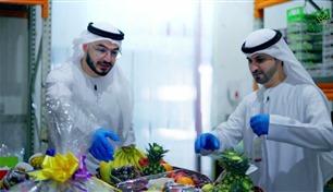 إمدادات مستقرة وأسعار متوازنة.. NRTC: مستعدون لتلبية احتياجات السوق بشبكة واسعة