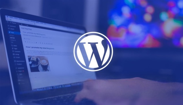 كارثة سيبرانية تهدد مواقع الإنترنت.. كيف تسلّل الهاكرز إلى إضافات ووردبريس؟