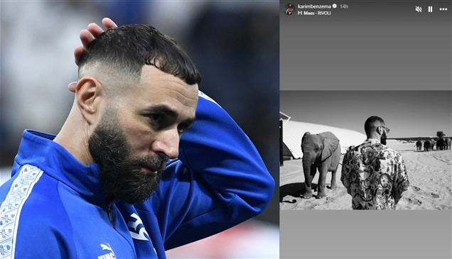 "تناقض الأفيال" يثير تساؤلات جماهير الهلال حول جاهزية بنزيما