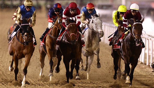 كأس دبي العالمي