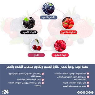 حفنة توت يومياً تحمي خلايا الجسم وتقاوم علامات التقدم بالعمر